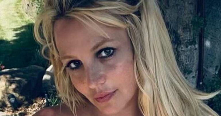 Britney Spears Is Turning Down Huge Brand Deals, Even Though She Could Easily Make Millions