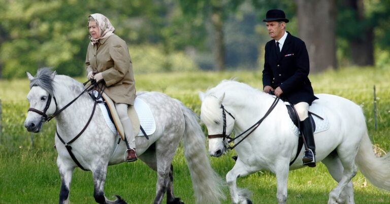 Queens beloved pets now – from living with shamed son to winning at Ascot races