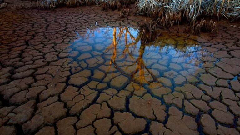 Sydney’s running out of water, and we haven’t been paying attention