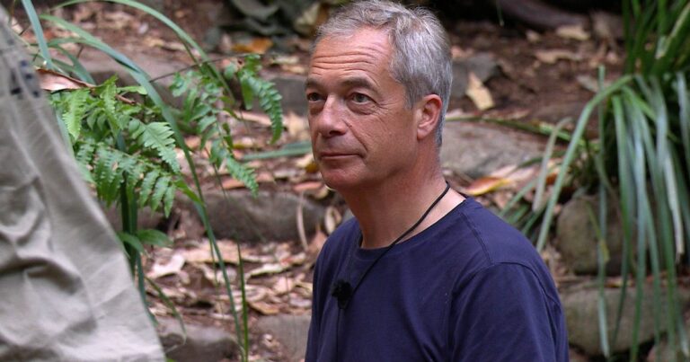 ITV Im A Celebs Nigel Farages secret French girlfriend, 44, to fly to Australia to support him